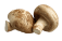 shiitake mushrooms